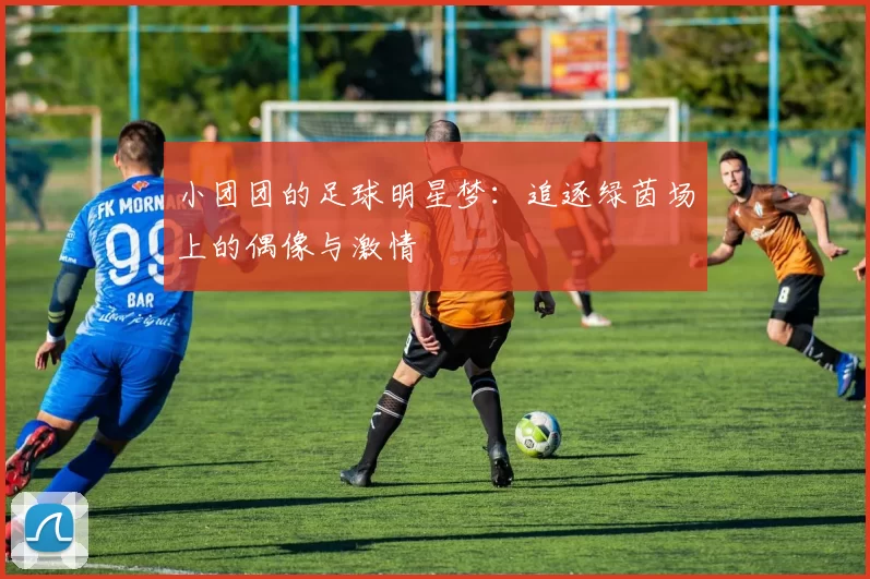小团团的足球明星梦：追逐绿茵场上的偶像与激情