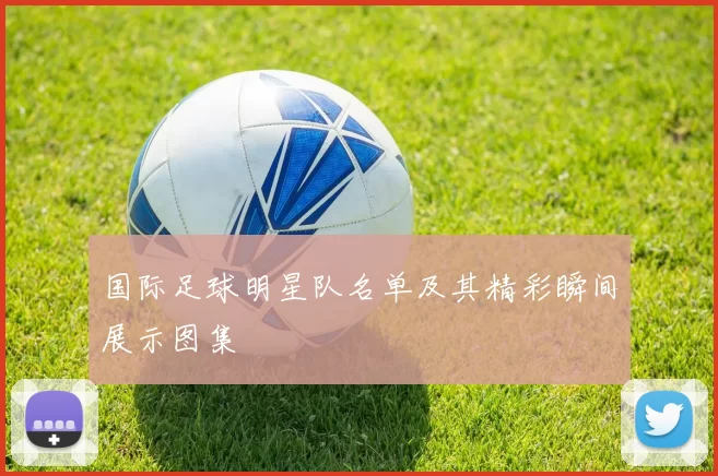 国际足球明星队名单及其精彩瞬间展示图集