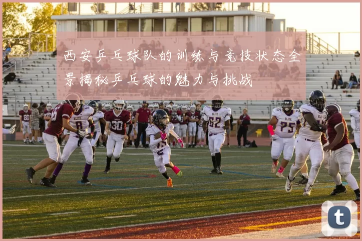 西安乒乓球队的训练与竞技状态全景揭秘乒乓球的魅力与挑战