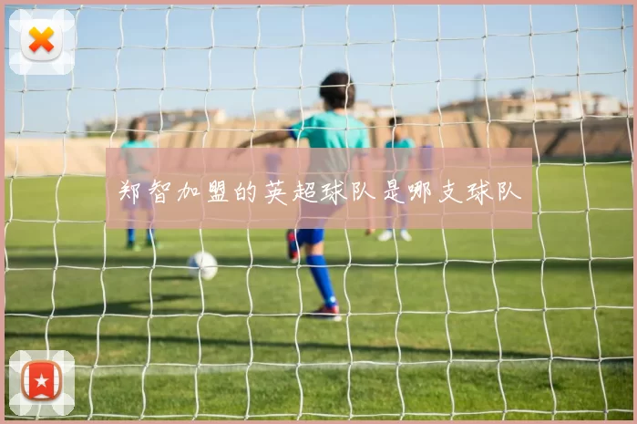 郑智加盟的英超球队是哪支球队