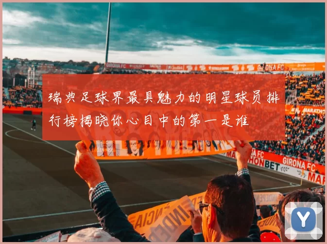 瑞典足球界最具魅力的明星球员排行榜揭晓你心目中的第一是谁