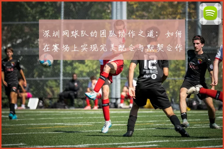 深圳网球队的团队协作之道：如何在赛场上实现完美配合与默契合作