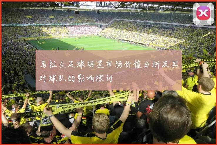 乌拉圭足球明星市场价值分析及其对球队的影响探讨