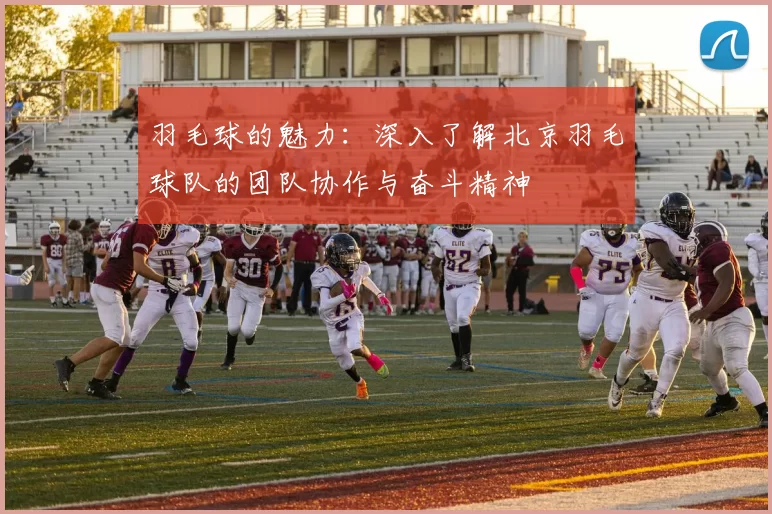 羽毛球的魅力：深入了解北京羽毛球队的团队协作与奋斗精神
