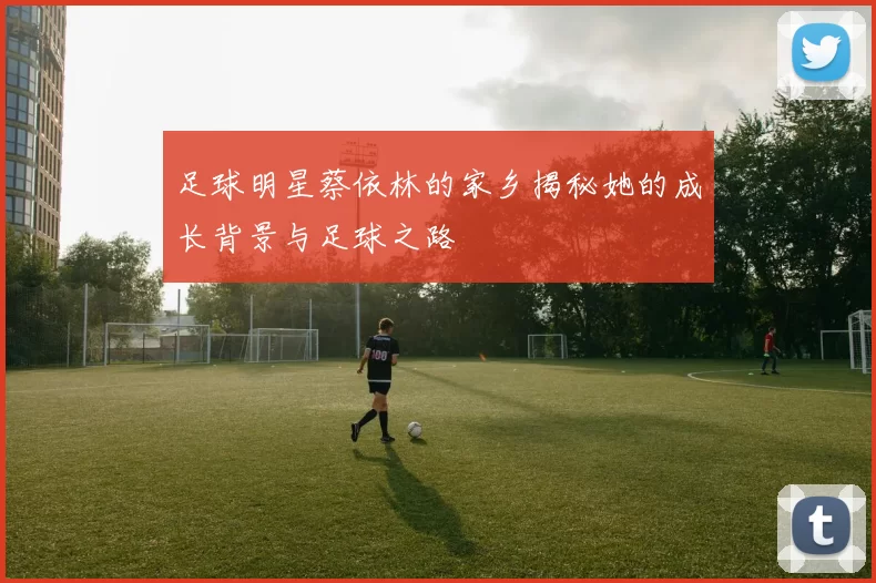 足球明星蔡依林的家乡揭秘她的成长背景与足球之路