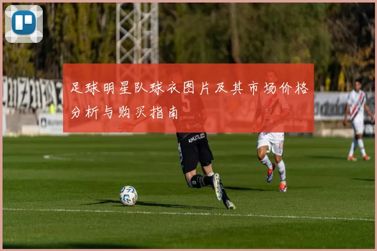 足球明星队球衣图片及其市场价格分析与购买指南
