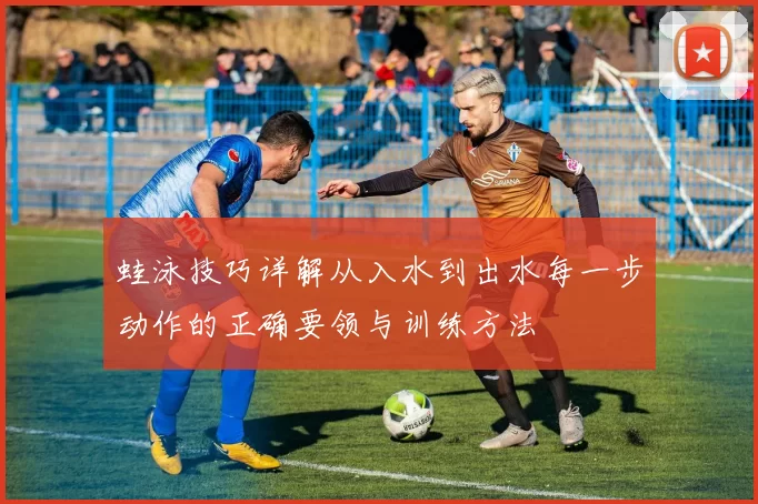 蛙泳技巧详解从入水到出水每一步动作的正确要领与训练方法
