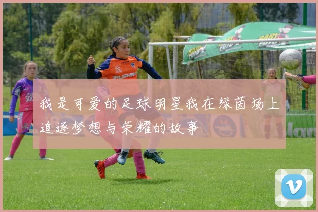 我是可爱的足球明星我在绿茵场上追逐梦想与荣耀的故事