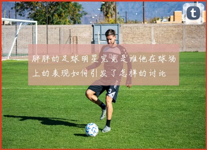 胖胖的足球明星究竟是谁他在球场上的表现如何引发了怎样的讨论